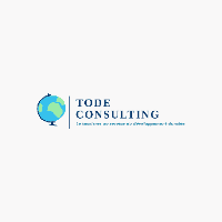 TODE-CONSULTING